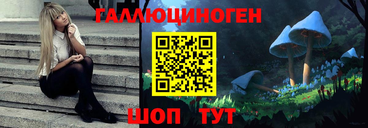 Елабуга  Галлюциногенные грибы MAGIC MUSHROOMS  Вход с VPN  Псилоцибиновые грибы мицелий 