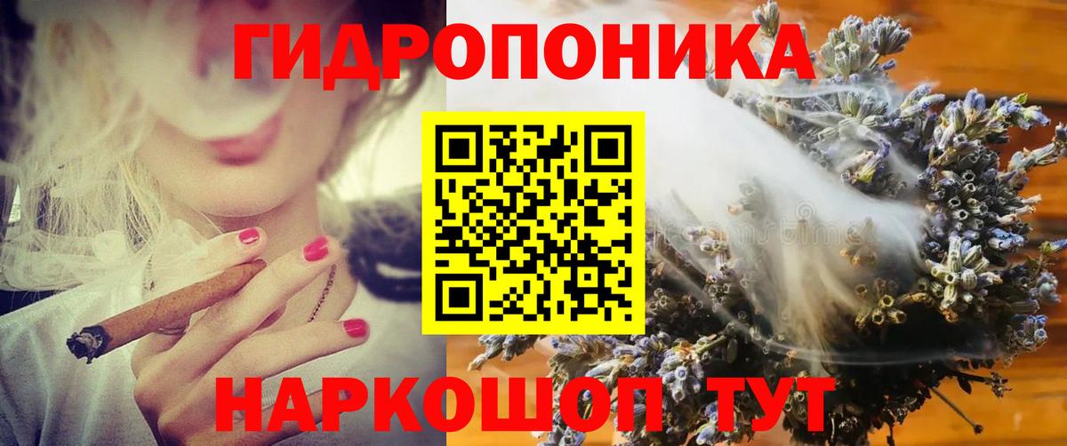Бошки Шишки планчик Елабуга